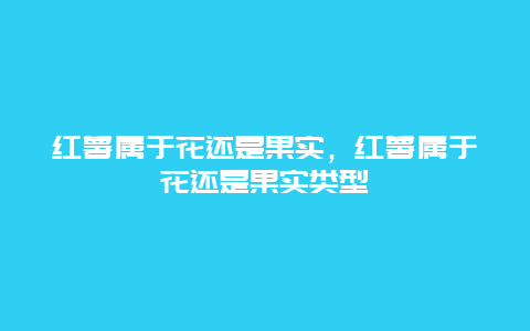 红薯属于花还是果实，红薯属于花还是果实类型