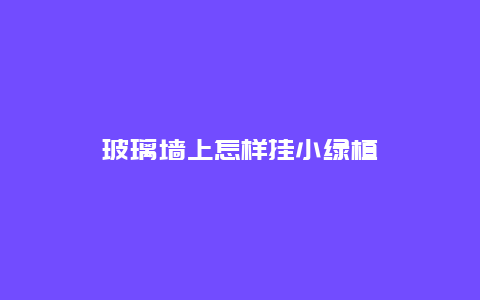 玻璃墙上怎样挂小绿植