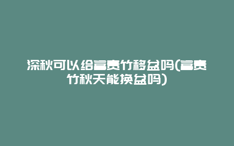 深秋可以给富贵竹移盆吗(富贵竹秋天能换盆吗)