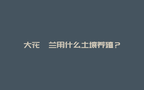 大花蕙兰用什么土壤养殖？