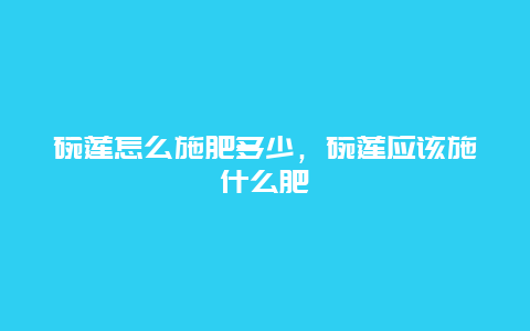 碗莲怎么施肥多少，碗莲应该施什么肥