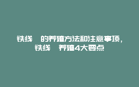 铁线蕨的养殖方法和注意事项，铁线蕨养殖4大要点