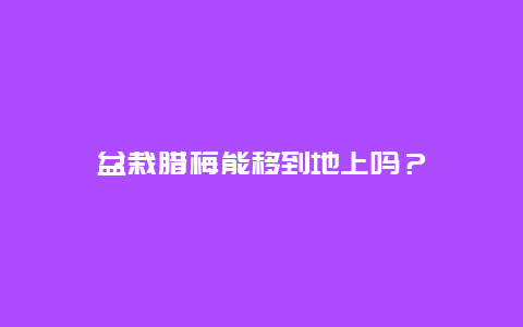 盆栽腊梅能移到地上吗？