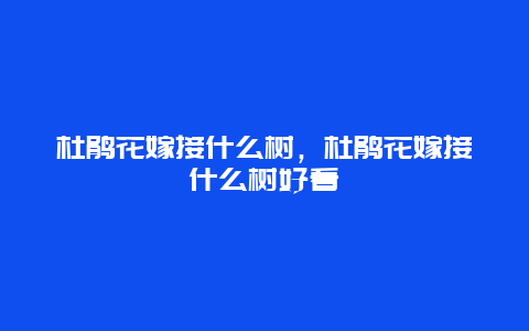 杜鹃花嫁接什么树，杜鹃花嫁接什么树好看