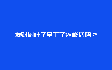 发财树叶子全干了还能活吗？