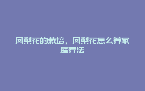 凤梨花的栽培，凤梨花怎么养家庭养法