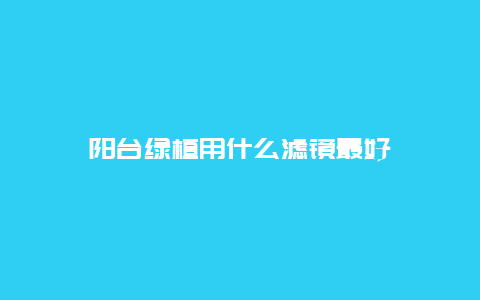 阳台绿植用什么滤镜最好