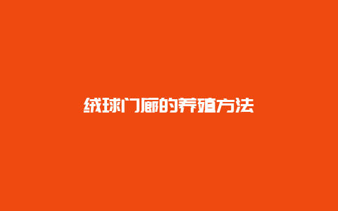 绒球门廊的养殖方法