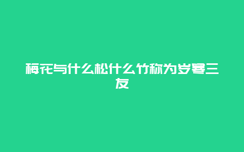 梅花与什么松什么竹称为岁寒三友