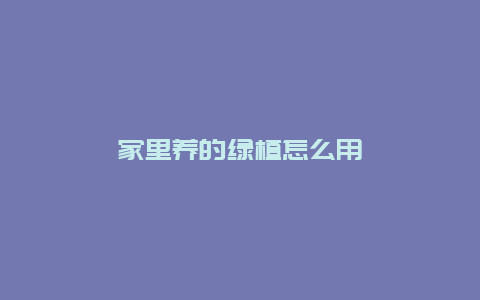 家里养的绿植怎么用