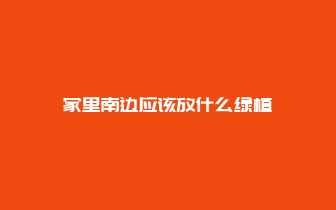 家里南边应该放什么绿植