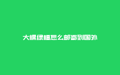 大棵绿植怎么邮寄到国外