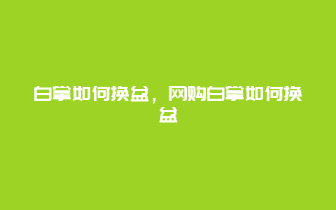 白掌如何换盆，网购白掌如何换盆