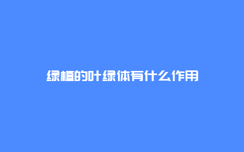 绿植的叶绿体有什么作用