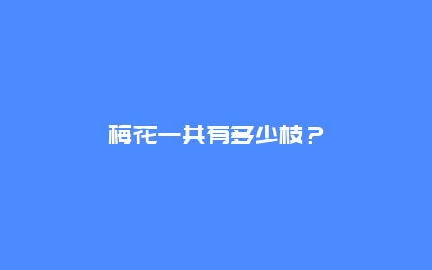 梅花一共有多少枝？