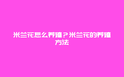 米兰花怎么养殖？米兰花的养殖方法