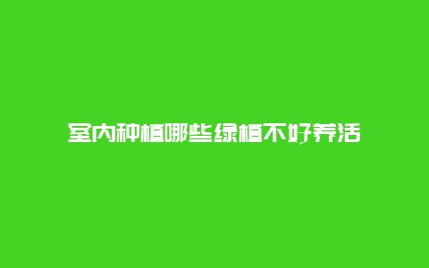 室内种植哪些绿植不好养活