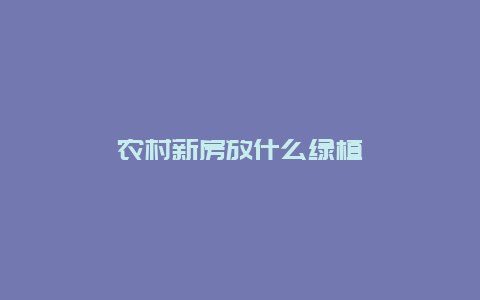 农村新房放什么绿植