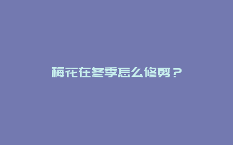 梅花在冬季怎么修剪？