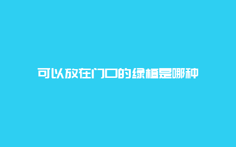 可以放在门口的绿植是哪种