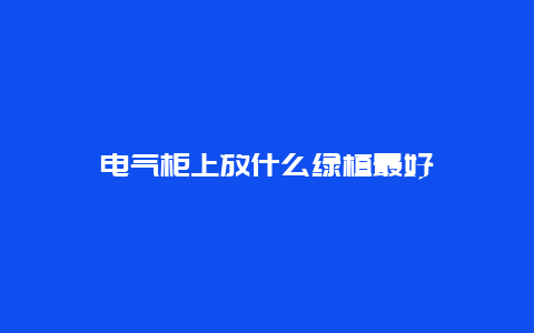 电气柜上放什么绿植最好