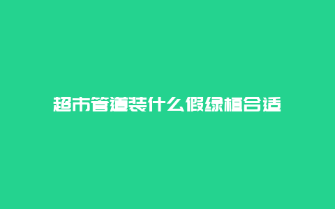 超市管道装什么假绿植合适