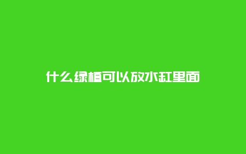 什么绿植可以放水缸里面