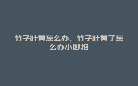 竹子叶黄怎么办，竹子叶黄了怎么办小妙招