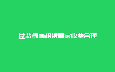 盆栽绿植租赁哪家收费合理