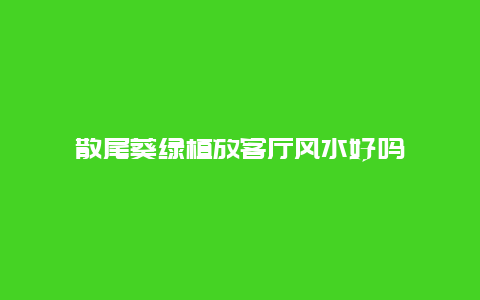 散尾葵绿植放客厅风水好吗