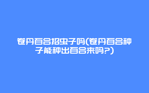 卷丹百合招虫子吗(卷丹百合种子能种出百合来吗?)