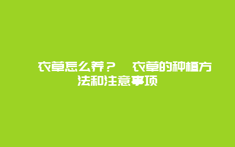 薰衣草怎么养？薰衣草的种植方法和注意事项