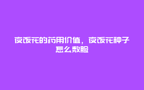 夜饭花的药用价值，夜饭花种子怎么敷脸