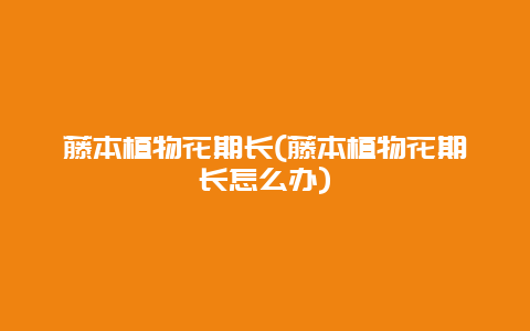 藤本植物花期长(藤本植物花期长怎么办)