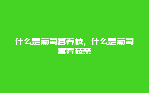 什么是葡萄营养枝，什么是葡萄营养枝条