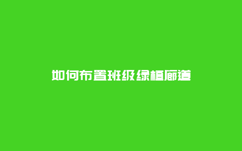 如何布置班级绿植廊道