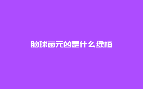 脑球菌元凶是什么绿植