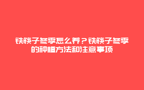 铁筷子冬季怎么养？铁筷子冬季的种植方法和注意事项