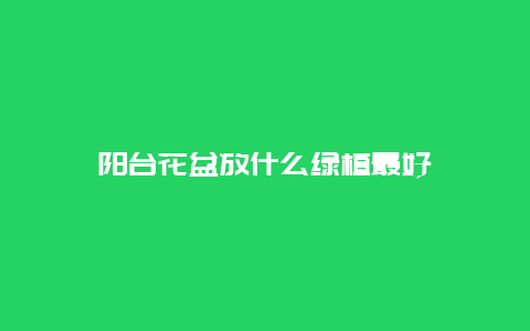 阳台花盆放什么绿植最好