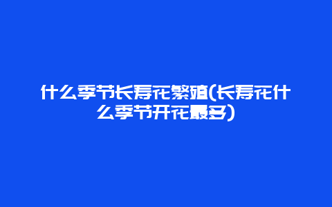 什么季节长寿花繁殖(长寿花什么季节开花最多)