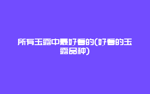 所有玉露中最好看的(好看的玉露品种)