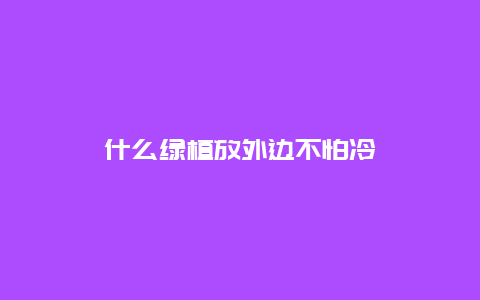 什么绿植放外边不怕冷