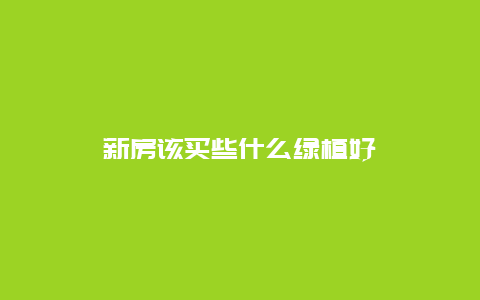 新房该买些什么绿植好