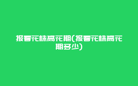 报春花株高花期(报春花株高花期多少)