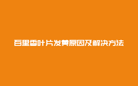 百里香叶片发黄原因及解决方法