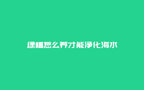 绿植怎么养才能净化海水