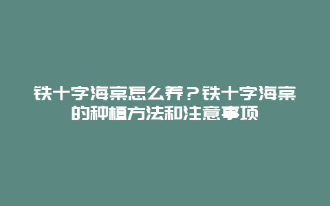 铁十字海棠怎么养？铁十字海棠的种植方法和注意事项