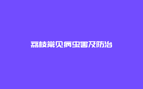 荔枝常见病虫害及防治