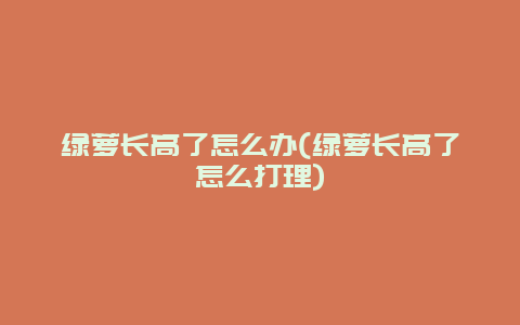 绿萝长高了怎么办(绿萝长高了怎么打理)