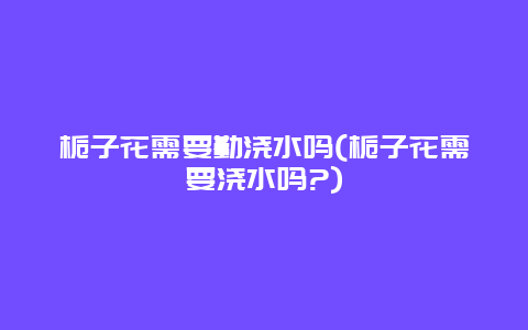 栀子花需要勤浇水吗(栀子花需要浇水吗?)